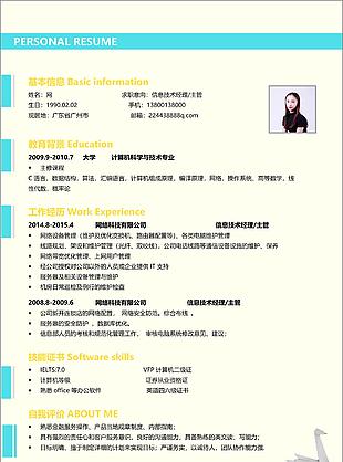 簡約時尚信息技術(shù)經(jīng)理個人電子簡歷