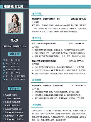 灰藍撞色互聯網IT求職簡歷word模板