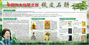 中草药铁皮石斛绿色主题展板