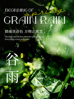阳光倾洒绿叶意境装饰谷雨节气海报