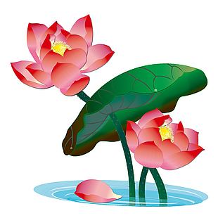 清新夏日池塘美景荷花盛開插畫