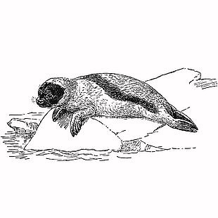 復古線描風格海報插畫