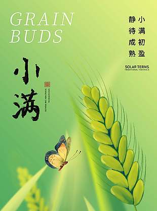万物初盈绿色唯美小满节气海报