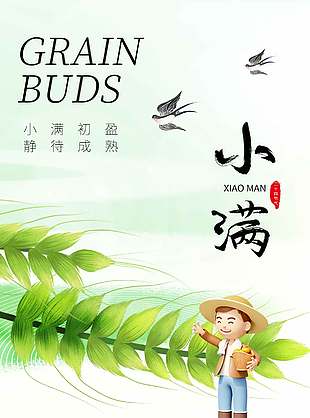 小满相宜简单文艺二十四节气海报
