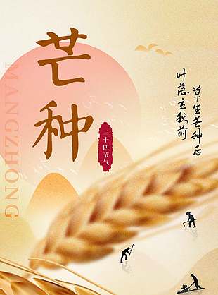 金色簡約傳統二十四節氣芒種海報