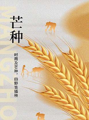 時雨及芒種中國傳統二十四節氣海報