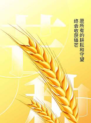 簡單創意傳統二十四節氣芒種海報