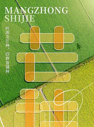 芒種聽瀾清新大氣二十四節氣海報