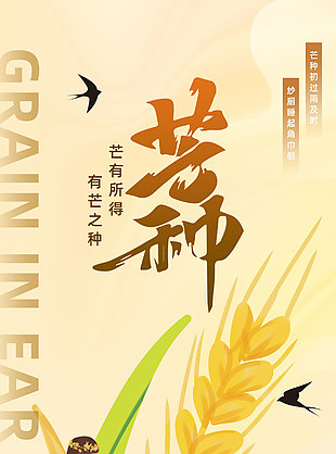 芒有所得有芒之種黃色背景宣傳海報
