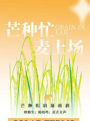 芒種忙麥上場農民豐收剪影海報