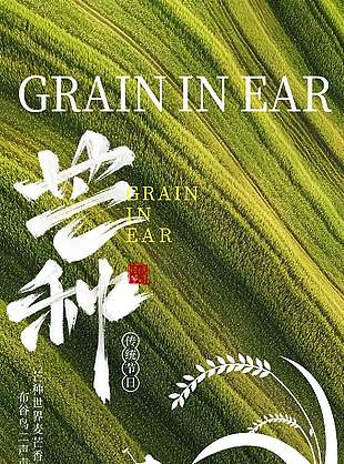 芒種世界麥芒香布谷鳥二二聲亮農民剪影海報