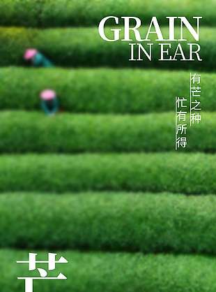 綠色簡(jiǎn)約中國(guó)傳統(tǒng)芒種節(jié)氣宣傳海報(bào)