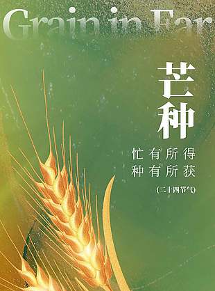 簡(jiǎn)單素雅中國(guó)傳統(tǒng)芒種節(jié)氣宣傳海報(bào)