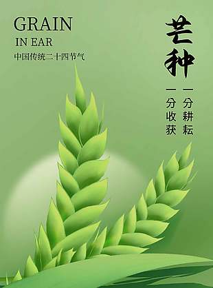 梅雨紛紛來傳統芒種節氣宣傳海報