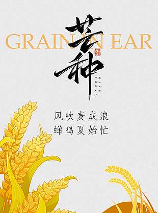 簡單卡通創意二十四節氣芒種海報