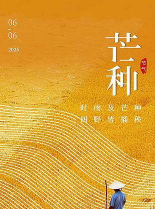 時雨及芒種中國傳統節氣宣傳海報