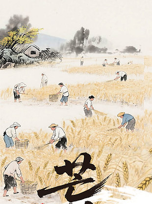 北方麥黃南方稻綠大地豐盈古風背景芒種海報