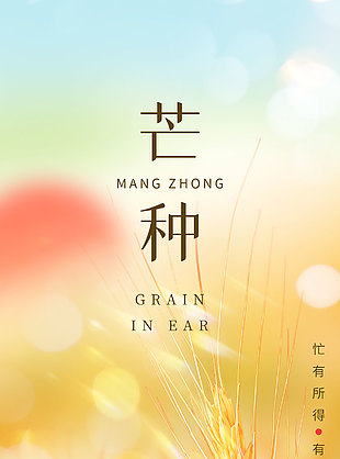風吹麥成浪蟬鳴夏始忙芒種實景海報