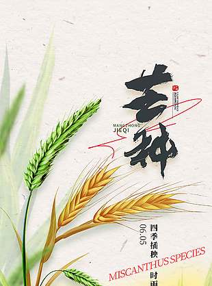 四季插秧時雨芒種農民形象卡通海報