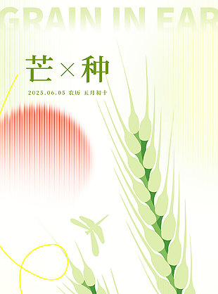 青梅熟小麥黃芒種忙遍插秧創意小清新海報