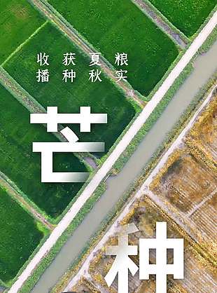 收獲夏糧播種秋實豐收實景海報