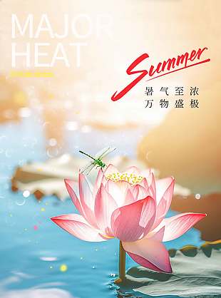 暑期至濃萬物盛極荷花背景夏至海報