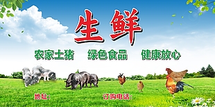 生鮮綠色食品宣傳海報