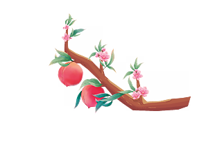 桃花花枝桃子插畫