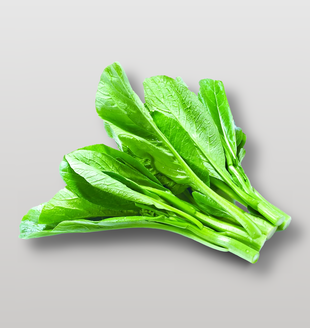 綠色有機蔬菜青菜菜心
