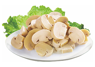 营养丰富蘑菇食材