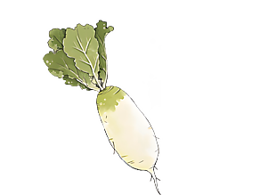 卡通水彩蘿卜插畫