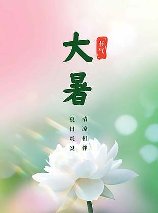 夏日炎炎粉绿色传统大暑节气海报