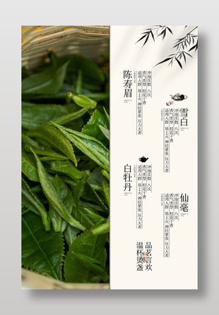 茶叶种类科普茶饮品宣传海报