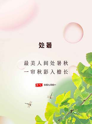 诗意简约二十四节气处暑海报