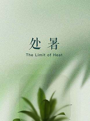 清新绿意中国传统处暑节气海报