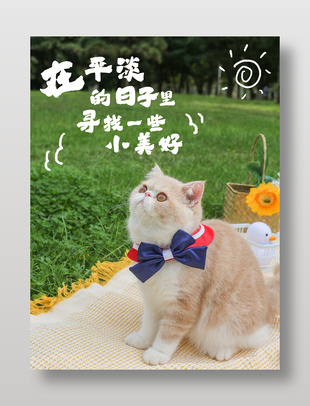 手写可爱猫咪宠物美好生活海报