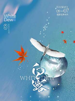 清新简约中国传统白露节气海报
