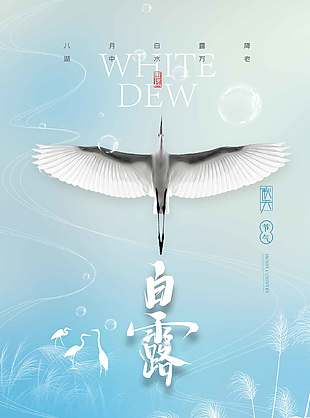 清新唯美传统白露节气宣传海报
