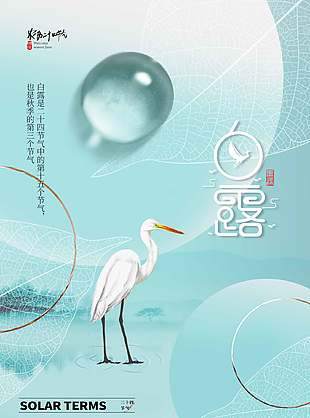 秋露凝珠传统二十四白露节气海报