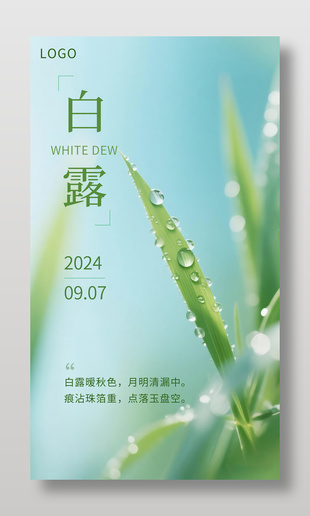 清新唯美白露节气宣传海报