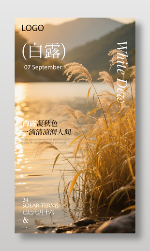 唯美清冷白露节气宣传海报