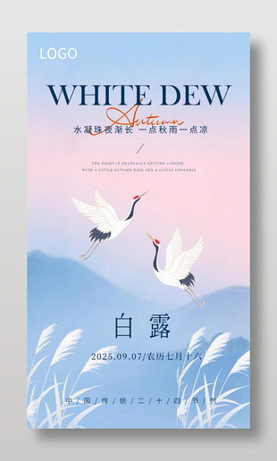 清新中国风白露节气宣传海报