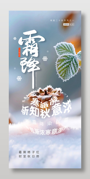 简单清雅风传统霜降节气海报