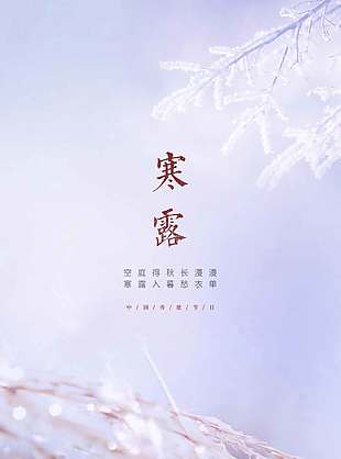 简约摄影风寒露节气海报