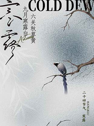 萧瑟唯美深邃传统节气寒露海报