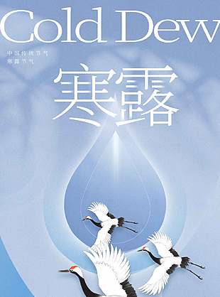 典雅唯美中国传统寒露节气海报