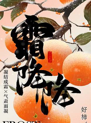 好柿成霜传统节气霜降海报