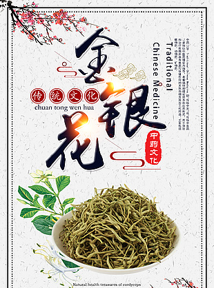 養(yǎng)生珍品金銀花藥理知識(shí)海報(bào)