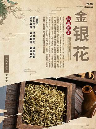養(yǎng)生養(yǎng)心金銀花藥理知識海報