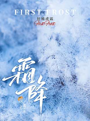 清冷大氣霜降節(jié)氣海報(bào)